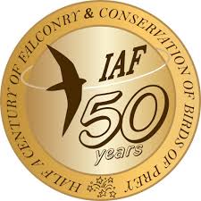 International Association for Falconry Conservation birds of prey