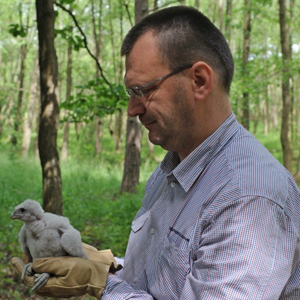 Mr. Janusz Sielicki V.President IAF