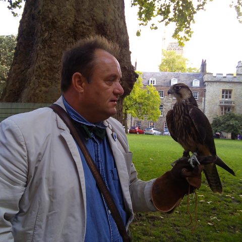 Mr. Wayne T Davis Avian Environmental Consultants Ltd